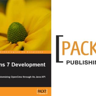 Umschlag des Buches 'OpenCms 7 Development'